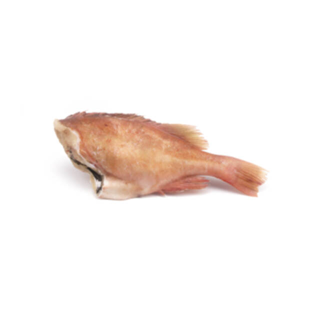 Red Fish