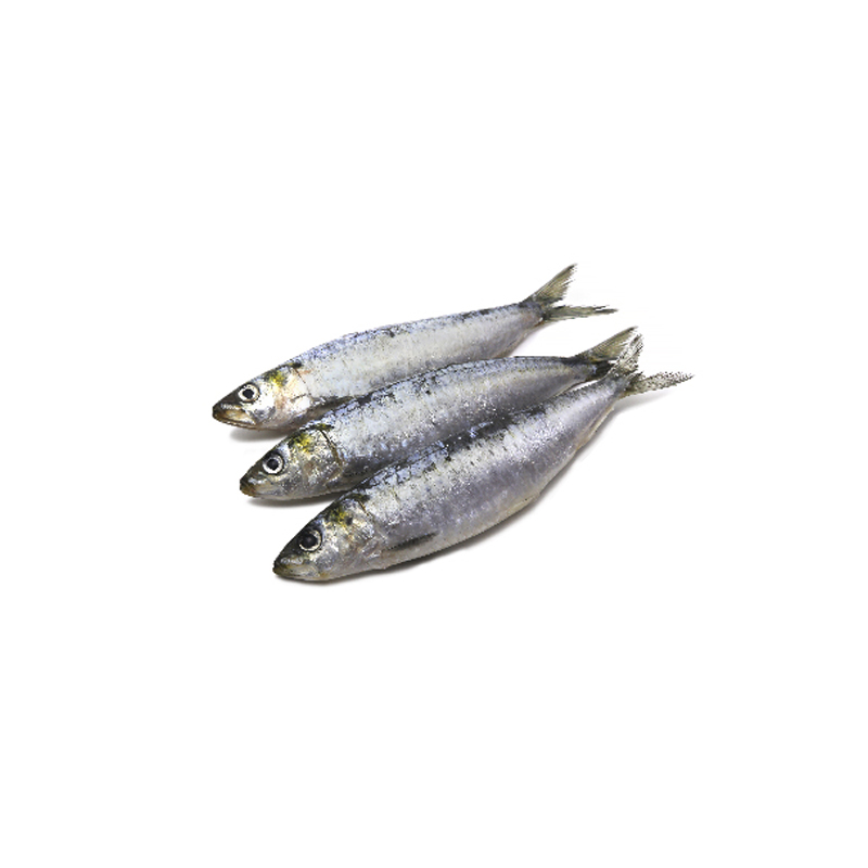 Sardinha